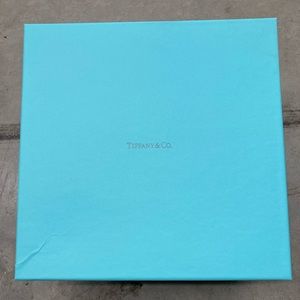 Tiffany & Co empty box 10x10x5
